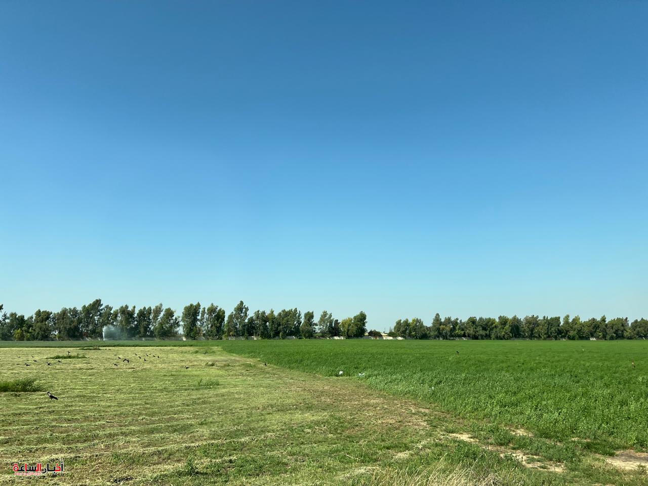 akhbarelsaa.com kstzIwaa