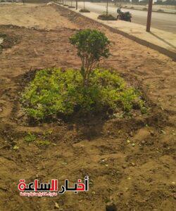 akhbarelsaa.com eh1kbGQE