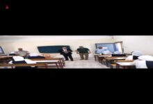 post image 1686586966