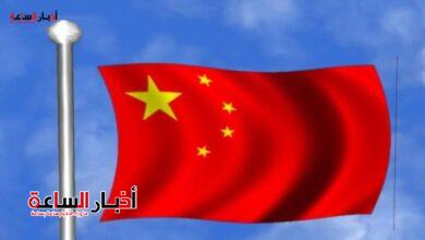 post image 1697133133