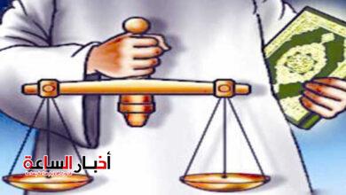 السمات الرئيسية فى العدالة الاجتماعية 6 post image 1700947190