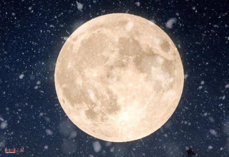 IMG ٢٠٢٤٠١٢٥ ١١٣٦٢٧