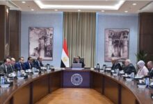 الرئيسية 10