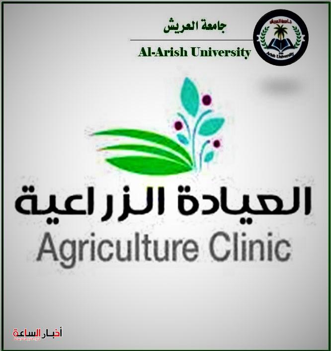 الرئيسية 11