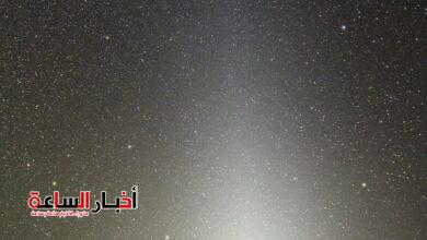 IMG 20240203 WA0038