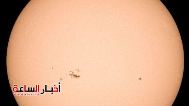 IMG 20240209 WA0083