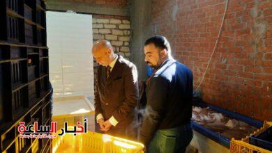 الرئيسية 61