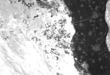 الرئيسية 83
