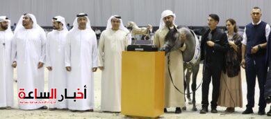 IMG 20240316 WA0007