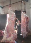 IMG 20240330 WA0248