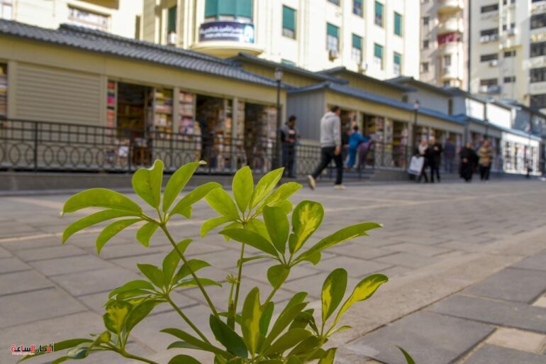 الرئيسية 144