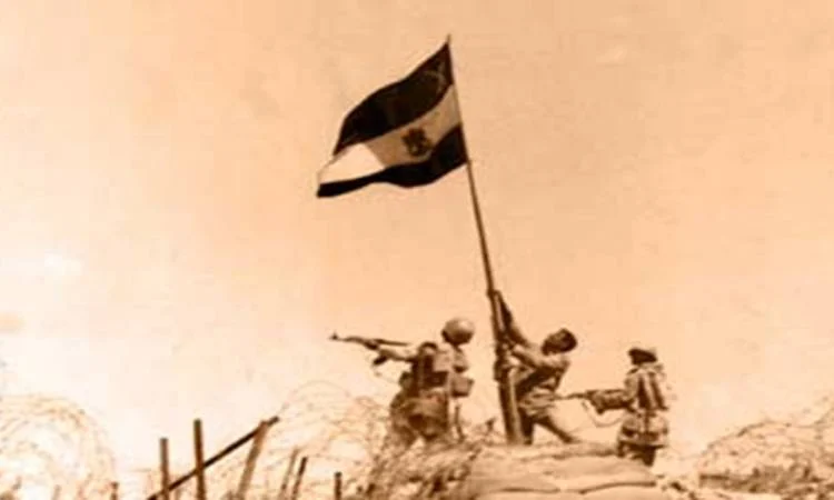 الرئيسية 5