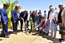 الرئيسية 83