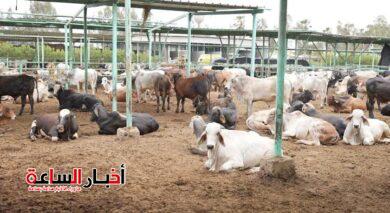img 20240523 wa0005