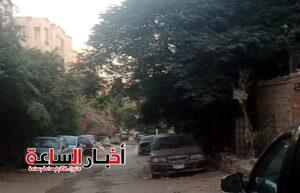 img 20240531 wa0020