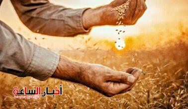 الأمن الغذائى