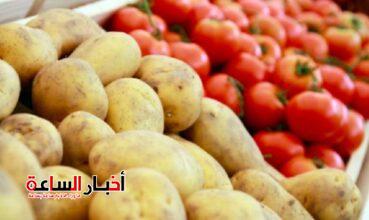 وزير الزراعة يكشف موعد انخفاض أسعار البطاطس والطماطم والبيض!