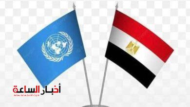akhbarelsaa.com WA2kvdkE