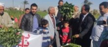 akhbarelsaa.com 2Q2EzTfR