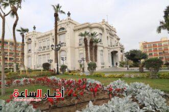 akhbarelsaa.com QmNfpSUD