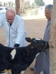 akhbarelsaa.com R4yR0NI4