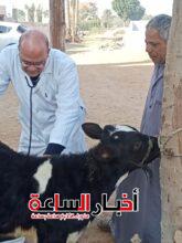 akhbarelsaa.com R4yR0NI4