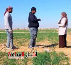 akhbarelsaa.com 7bfumf6j