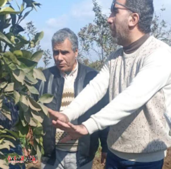 akhbarelsaa.com 5bfv1rzV