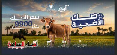 akhbarelsaa.com C0oRWKwy