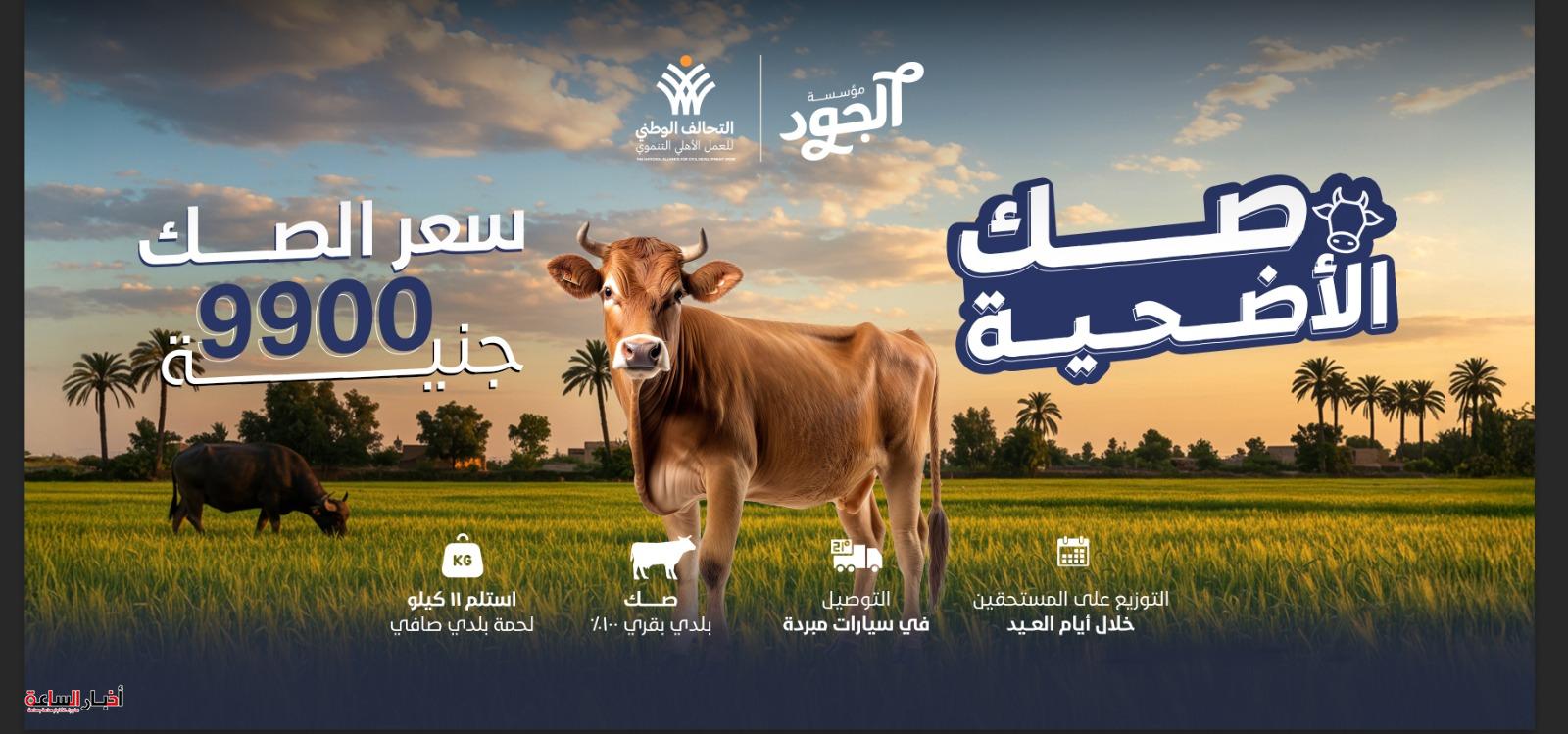 akhbarelsaa.com C0oRWKwy