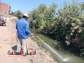 الرئيسية 3
