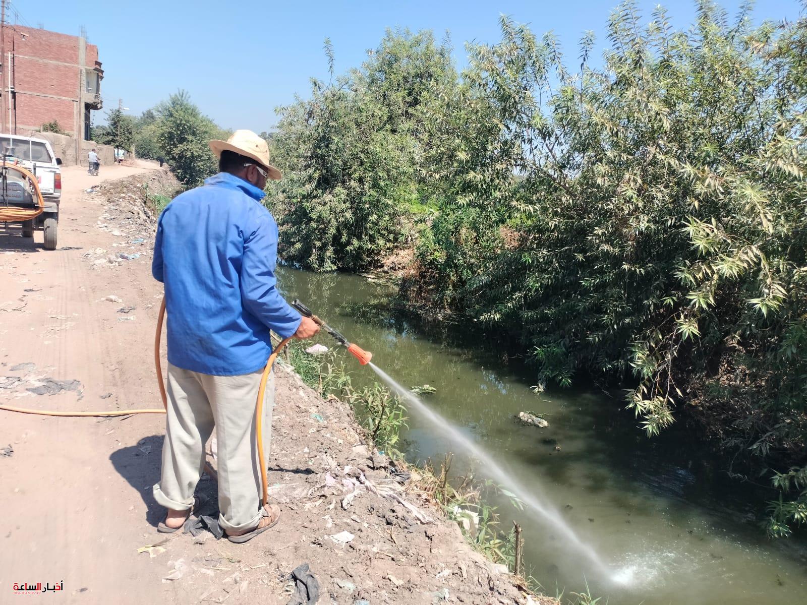 الرئيسية 3