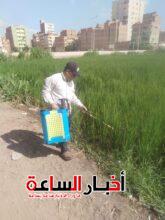 akhbarelsaa.com KujqFQjP