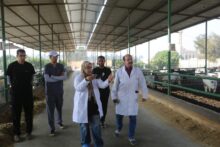 akhbarelsaa.com GFt7PeLA