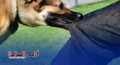 akhbarelsaa.com LUATZHIq