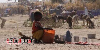 akhbarelsaa.com N4SNiIQ2