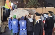 akhbarelsaa.com eiDCOfI9