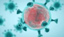 akhbarelsaa.com 5cpkPfvC