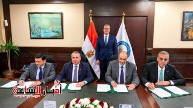 akhbarelsaa.com ppprqHZk