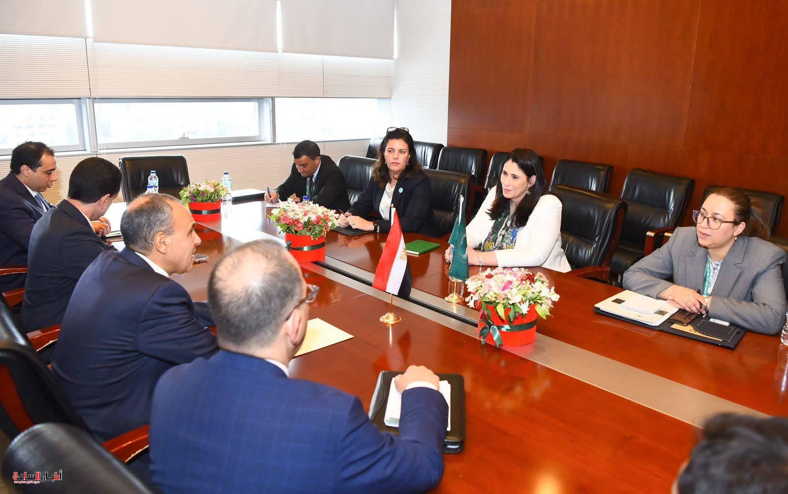 وزير الخارجية يؤكد دعم مصر لإصلاح وتطوير الأداء المؤسسي لمفوضية الاتحاد الأفريقي