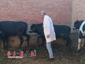 akhbarelsaa.com ZA38l9nU