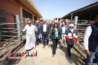 akhbarelsaa.com HGgUDjwH