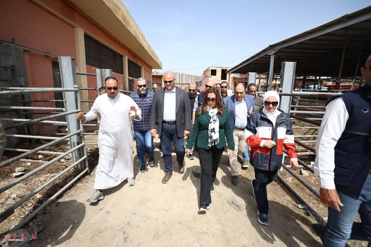 إقالة مدير الطب البيطري بالإسكندرية بعد كشف مخالفات جسيمة بمجزر العامرية