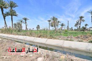 akhbarelsaa.com IV7sSCTI