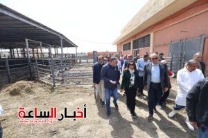 akhbarelsaa.com T3KL9FPL