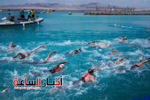 akhbarelsaa.com emsZOSNR