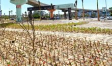 akhbarelsaa.com eu74xrpj