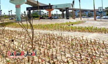 akhbarelsaa.com eu74xrpj