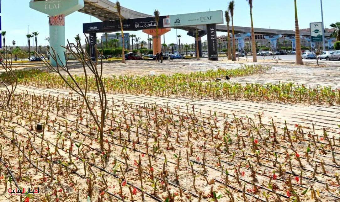 جولة مفاجئة لوزيرة الإسكان بمدينة 6 أكتوبر لمتابعة تطوير المحور المركزي وتنظيم ميدان الحصري