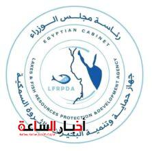 akhbarelsaa.com guTyYyR9